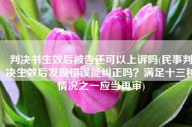 判决书生效后被告还可以上诉吗(民事判决生效后发现错误能纠正吗？满足十三种情况之一应当再审)