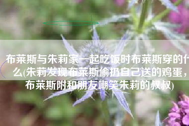布莱斯与朱莉家一起吃饭时布莱斯穿的什么(朱莉发现布莱斯偷扔自己送的鸡蛋，布莱斯附和朋友嘲笑朱莉的叔叔)