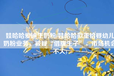 娃哈哈爱迪生奶粉(娃哈哈拟重拾婴幼儿奶粉业务，被疑“借腹生子”，市场机会不大)