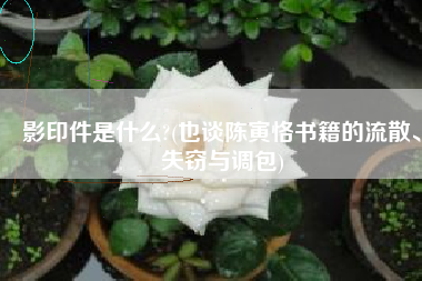 影印件是什么?(也谈陈寅恪书籍的流散、失窃与调包)