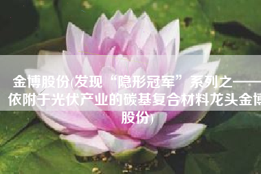 金博股份(发现“隐形冠军”系列之——依附于光伏产业的碳基复合材料龙头金博股份)