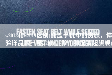 w2018和w2019区别(翻盖手机中的贵族，体验洋品牌三星w2019，做工和配置超旗舰)