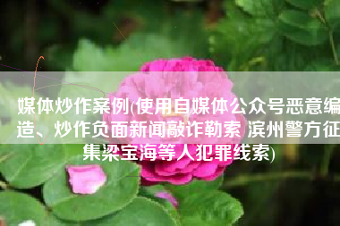 媒体炒作案例(使用自媒体公众号恶意编造、炒作负面新闻敲诈勒索 滨州警方征集梁宝海等人犯罪线索)