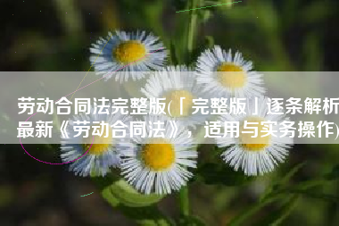 劳动合同法完整版(「完整版」逐条解析最新《劳动合同法》，适用与实务操作)