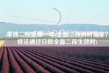 单独二孩是哪一年(全面二孩何时落地？修法通过日即全面二孩生效时)