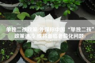 单独二孩政策(外媒称中国“单独二孩”政策遇冷 或将面临老龄化问题)