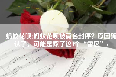 蚂蚁花呗(蚂蚁花呗被莫名封停？原因确认了，可能是踩了这4个“雷区”)