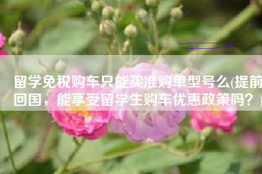 留学免税购车只能买准购单型号么(提前回国，能享受留学生购车优惠政策吗？)