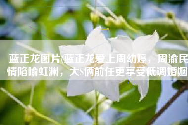 蓝正龙图片(蓝正龙爱上周幼婷，周渝民情陷喻虹渊，大S俩前任更享受低调婚姻)