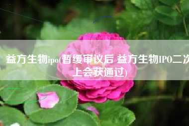 益方生物ipo(暂缓审议后 益方生物IPO二次上会获通过)