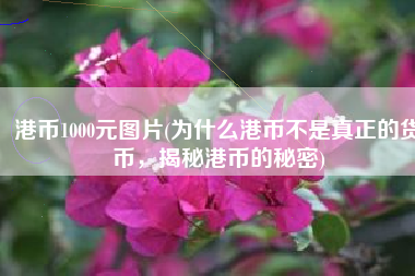 港币1000元图片(为什么港币不是真正的货币，揭秘港币的秘密)