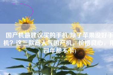 国产机最建议买的手机(除了苹果没好手机？这三款高人气国产机，价格良心，用四年都不卡)
