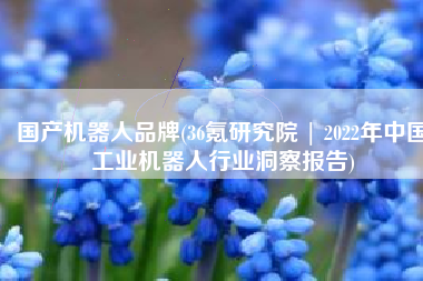 国产机器人品牌(36氪研究院 | 2022年中国工业机器人行业洞察报告)