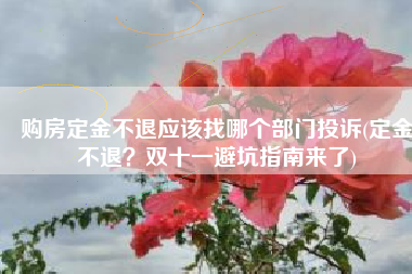 购房定金不退应该找哪个部门投诉(定金不退？双十一避坑指南来了)