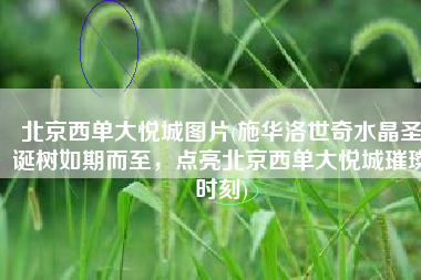 北京西单大悦城图片(施华洛世奇水晶圣诞树如期而至，点亮北京西单大悦城璀璨时刻)