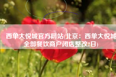 西单大悦城官方网站(北京：西单大悦城全部餐饮商户闭店整改2日)
