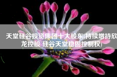天堂硅谷投资集团十大股东(持续增持欣龙控股 硅谷天堂稳固控制权)