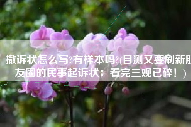 撤诉状怎么写?有样本吗?(目测又要刷新朋友圈的民事起诉状：看完三观已碎！)