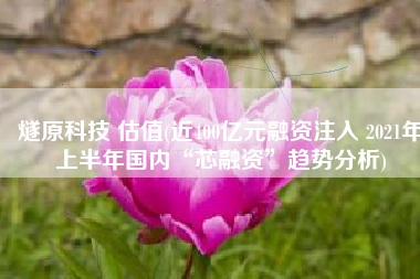 燧原科技 估值(近400亿元融资注入 2021年上半年国内“芯融资”趋势分析)