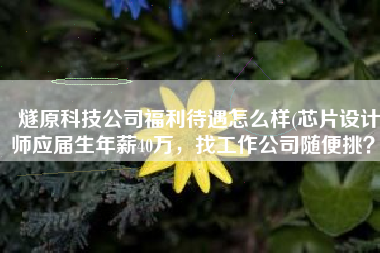 燧原科技公司福利待遇怎么样(芯片设计师应届生年薪40万，找工作公司随便挑？)