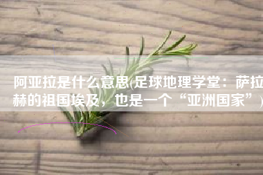 阿亚拉是什么意思(足球地理学堂：萨拉赫的祖国埃及，也是一个“亚洲国家”)
