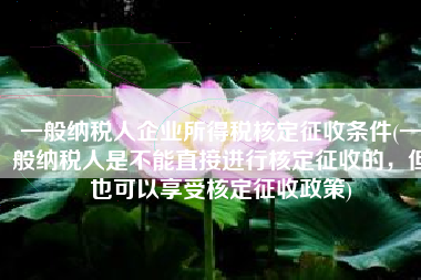 一般纳税人企业所得税核定征收条件(一般纳税人是不能直接进行核定征收的，但也可以享受核定征收政策)