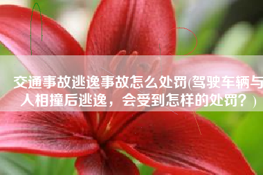 交通事故逃逸事故怎么处罚(驾驶车辆与人相撞后逃逸，会受到怎样的处罚？)