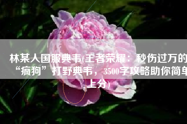 林某人国服典韦(王者荣耀：秒伤过万的“疯狗”打野典韦，3500字攻略助你简单上分)