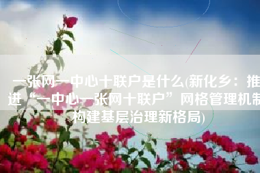 一张网一中心十联户是什么(新化乡：推进“一中心一张网十联户”网格管理机制 构建基层治理新格局)