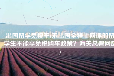 出国留学免税车(未出国全程上网课的留学生不能享免税购车政策？海关总署回应)