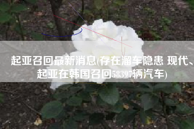 起亚召回最新消息(存在溜车隐患 现代、起亚在韩国召回58397辆汽车)