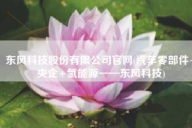 东风科技股份有限公司官网(汽车零部件+央企+氢能源——东风科技)