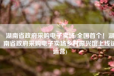 湖南省政府采购电子卖场(全国首个！湖南省政府采购电子卖场乡村振兴馆上线试运营)