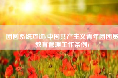 团圆系统查询(中国共产主义青年团团员教育管理工作条例)