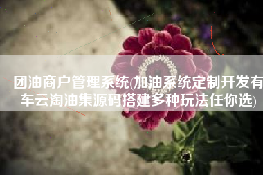 团油商户管理系统(加油系统定制开发有车云淘油集源码搭建多种玩法任你选)