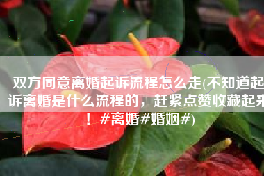 双方同意离婚起诉流程怎么走(不知道起诉离婚是什么流程的，赶紧点赞收藏起来！#离婚#婚姻#)