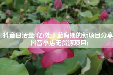 抖音日活量8亿(处于蓝海期的新项目分享：抖音小店无货源项目)