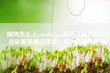 国内怎么上youtubeapp(用不了国外软件？谷歌服务要这样装！华为荣耀也适用)