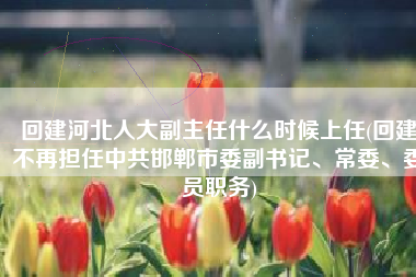 回建河北人大副主任什么时候上任(回建不再担任中共邯郸市委副书记、常委、委员职务)