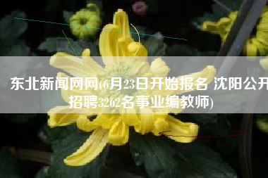 东北新闻网网(6月23日开始报名 沈阳公开招聘3262名事业编教师)