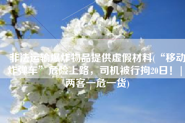 非法运输爆炸物品提供虚假材料(“移动炸弹车”危险上路，司机被行拘20日！| 两客一危一货)