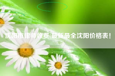 沈阳市律师收费(最新最全沈阳价格表！)