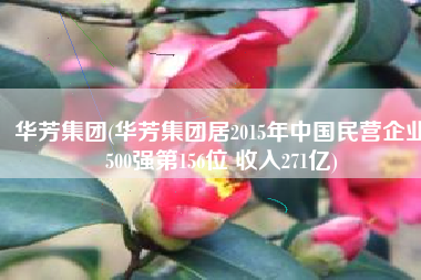 华芳集团(华芳集团居2015年中国民营企业500强第156位 收入271亿)