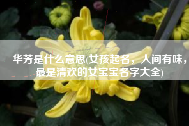 华芳是什么意思(女孩起名，人间有味，最是清欢的女宝宝名字大全)
