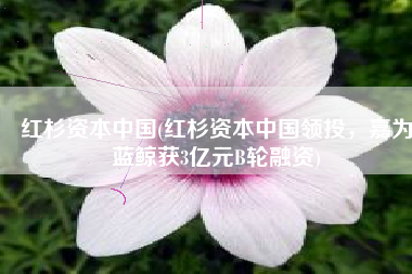 红杉资本中国(红杉资本中国领投，嘉为蓝鲸获3亿元B轮融资)