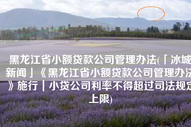 黑龙江省小额贷款公司管理办法(「冰城新闻」《黑龙江省小额贷款公司管理办法》施行｜小贷公司利率不得超过司法规定上限)