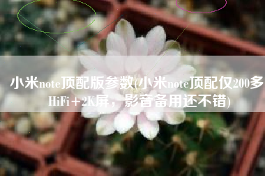 小米note顶配版参数(小米note顶配仅200多，HiFi+2K屏，影音备用还不错)