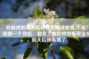 苏楠傅邺川大结局快看阅读免费(小说：离婚一个月后，宴会上她和帅哥惊艳全场，前夫后悔离婚了)