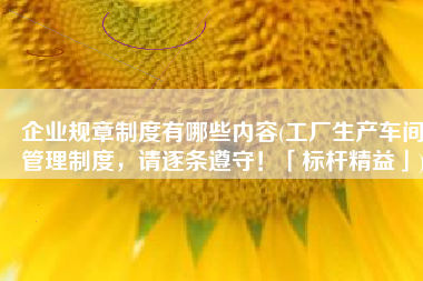 企业规章制度有哪些内容(工厂生产车间管理制度，请逐条遵守！「标杆精益」)