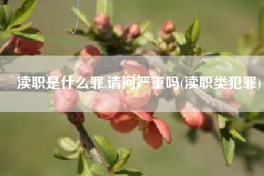 渎职是什么罪,请问严重吗(渎职类犯罪)